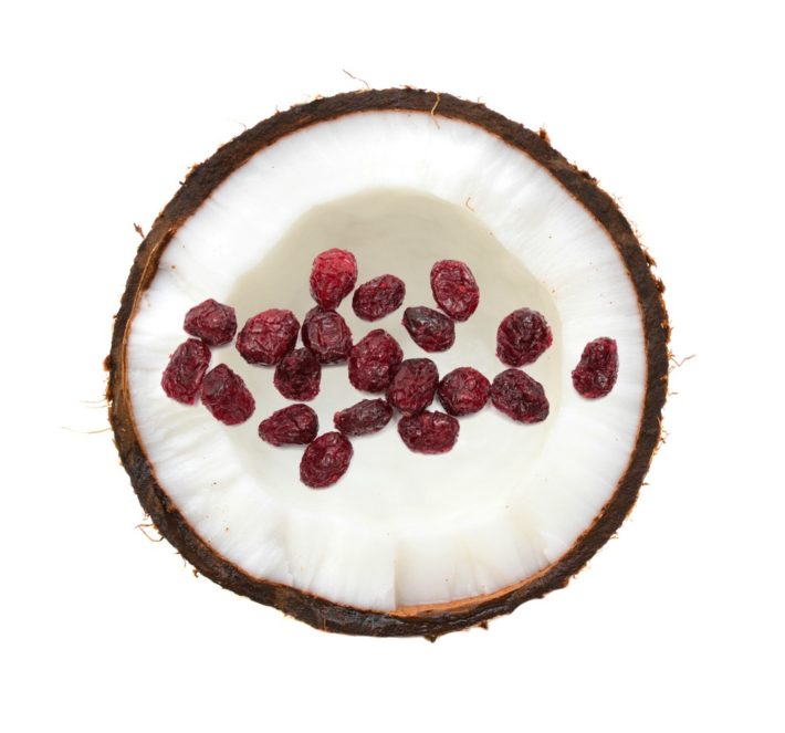 Coconut – Cranberry Soup